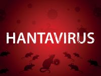 Hantavirus disease