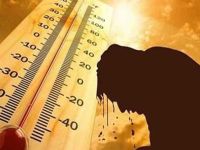تفسير رؤية الحر في المنام