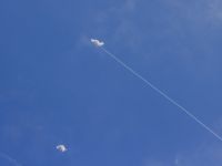 البحرين تفعّل صافرات الإنذار والكويت تعلن اعتراض مسيّرات معادية وسط تصاعد التوترات الإقليمية.