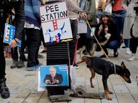 A dog urinates on images of pro-Brexit supporters Nigel Farage and Boris Johnson as dog owners and their pets gather before participating in a pro-EU, anti-Brexit march, calling for a "People's Vote on Brexit". (Tolga AKMEN / AFP)