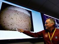 NASA engineer and InSight project manager Tom Hoffman points to the first image upon a successful landing by the InSight spacecraft on the planet Mars.
Al SEIB / POOL / AFP