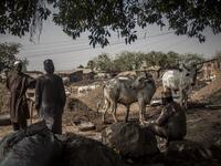 Stockbreeders rest at Kaduna Abatour meat market in North Kaduna CRISTINA ALDEHUELA / AFP