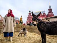A woman dressed in a traditional costume cares for farm animals in an enclosure set up for the Shrovetide spring festival outside the Kremlin in Moscow on March 01, 2019. Mladen ANTONOV / AFP
