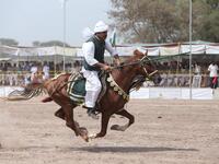 A Pakistani horse rider charges across a course holding a lance to pick up pegs during an attempt for a Guinness World Record for tent pegging in Khanewal district in Punjab province.
SS MIRZA / AFP
