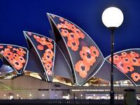 The Sydney Opera House is lit up with poppies marking the centenary of the end of World War I (AFP)