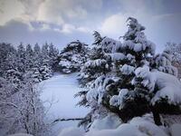 The power of white in a country full of colors Lebanon (Twitter)