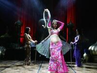 Egypt's belly dancers vote non-Islamist Egyptian President