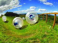 Roll Down A Hill In An Inflatable Ball In New Zealand: e are put inside enormous inflatable plastic balls and then pushed down hills. Apparently, it’s big in New Zealand, where riders volunteer to be pushed down hills in these plastic balls, which have no controls and offer no way to stop. (stayathomemum.com)