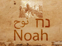 Noah