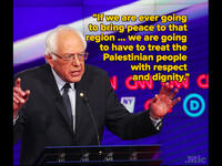 sanders on Palestinian rights