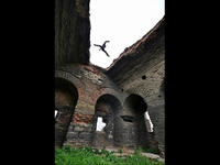Parkour runner Burhan Kuca Oğlan 