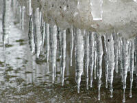 icicles