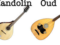 mandolin