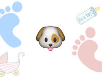 Jirwan (male): Some parents need to be put on a leash, especially those who name their kids “puppies,” aka Jirwan. FYI: Your child isn’t your new pet!