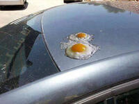 How to handle Dubai's egg-friable air? Crank up Eminem’s “Survivor” and channel Slim Shady!  Drop sunshades and close curtains during the daytime to shade your rooms and stop sunlight from heating up indoor spaces. Added bonus? Increased privacy when you lounge around listlessly in skimpy clothes or if in holy land, fig leaves!