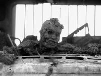 The "war picture no one would publish"