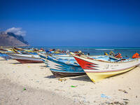 Salmon Fishing in the Yemen