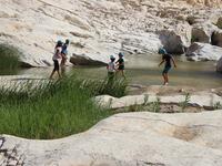 Wadi Al Heba, Amman. (vaytour.com)