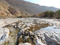 Wadi Al Salaytah, also known as Saida, is located in Amman, Jordan. (jo.geoview.info)