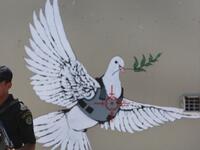 Street art by Banksy shows a dove with a bulletproof vest near his hotel in the occupied West Bank town of Bethlehem/ AFP