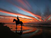 A Palestinian horseman rides on the beach at sunset west of in Gaza city on December 31, 2018. 
MAHMUD HAMS / AFP


