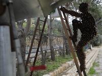 In a celebration of tradition and memory, artist Charles Nassar has been transforming the dark, wrangled remains into sculptures. "I hate shrapnel, but I also love it at the same time," said the 54-year-old sculptor with a neat salt-and-pepper beard, from a garden south of Beirut.
JOSEPH EID / AFP