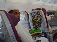 Make sure your wife looks oppressed. Force her to sit in the aisle seat, know her favorites drinks and snacks and order them for her yourself. That’s what oppression looks like.