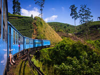 The small, teardrop-shaped island of Sri Lanka has it all: busy city life in Colombo, famed temples in Kandy, tea plantations and waterfalls in the mountains, and postcard beaches just outside the Dutch fort of Galle. Affordable flights can be found connecting through Doha and Dubai.