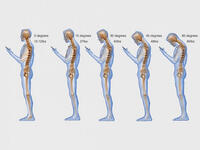 Unplug for your health! Did you know that looking down at our phones is the equivalent of having 60 lbs of weight on our necks? Or that excessive typing could cause carpal tunnel syndrome? Avoid the dreaded “secretary butt”, a flattened rear caused by constant sitting, by putting down your devices and getting active!