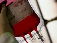  Donate blood instead! Some Shia leaders and groups discourage 
the bloodletting, concerned that it creates a negative, if not backward, image of Shia Muslims. 
These leaders encourage people to donate blood instead.