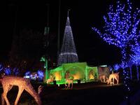 A Christmas tree and ornaments decorate a park in the Beirut suburb of Sin el-Fil.