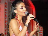 احيت الفنانة دوللي شاهين حفل شركة فودافون في اوتيل انتركونتيل سيتي ستارز مصر الجديدة , وقد حضر الحفل حوالي 3 آلاف من مدراء و موظفي شركة فودافون.