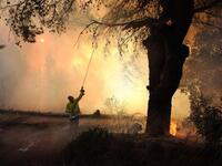 Israeli firefighters try to extinguish fire in the Carmel Forest near the northern city of Haifa, as global help poured in to battle the biggest inferno in the country history
