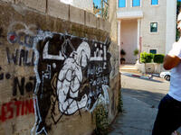 Hamza Abu Ayyash, Palestinian street artist