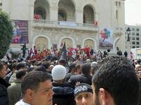 Tunisia's Salafis