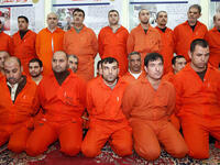 Al Qaeda operative ring is rounded up in Iraq