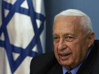 President Ariel Sharon headed up Israel for years before falling asleep on the job