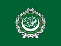 Arab League faces down Assad: The League suspended Syria, and imposed sanctions that failed to get through the security council.  Its observer mission was accused of lending Assad diplomatic license to pursue brutality against the protesters. The flailing mission - finally pulled this weekend - was led by a Sudanese accused of Darfur war crimes.