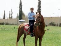 He practices elite activity as horse racing (the pedigree horses come from Arabia after all) and he tries to keep involved in extravagant football hosting activity to keep up with his Gulf neighbours rich in resources. Holds his head up high.