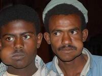 Qat is a small evergreen shrub, widely cultivated in Yemen and generally used for chewing, with stimulant drug effect. Chewing also part of the Yemeni business culture to promote decision-making.