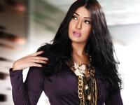 Ghada Abdel Razek looks awkward in model pose