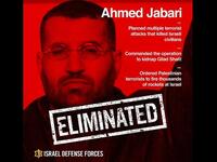 Eliminated IDF poster opens eyes to the new war-game