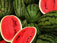 Watermelons are a good choice for Summer Ramadan 