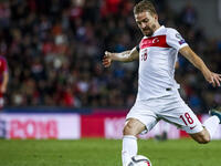 الظهير التركي كانير إيركين (فينيرباهتشة)