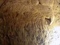 Al-Ghouta and Jubar tunnels. (Facebook)