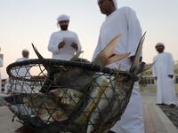 Emiratis stand by fish caught in the crescent fishing contest thread during the Dalma Sailing Festival. (KARIM SAHIB / AFP)