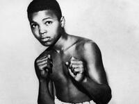 بداية محمد علي في عالم الملاكمة جاءت بمحض الصدفة حين كان في الـ12 من العمر، وحقق عدة ألقاب على المستويين المحلي والوطني وهو دون الـ18 ونال الميدالية الذهبية لأولمبياد روما الصيفية عام 1960 عن فئة وزن الخفيف الثقيل،وعام 1960 اتجه اللاعب إلى عالم الاحتراف