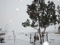 egypt snow