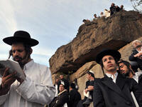 hasidim