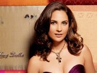 لارا دوتا:
الهندية التي حملت أرقامًا قياسية من لجنة التحكيم في عام 2000، والتي صنفوها الأكثر جمالًا وثقافة، ولم تتمكن أي ملكة جمال من تحقيق علامات مماثلة أو حتى قريبة منها.